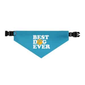 Best Dog Ever Pet Bandana Collar in Turquoise