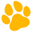 Customized Pet Prints